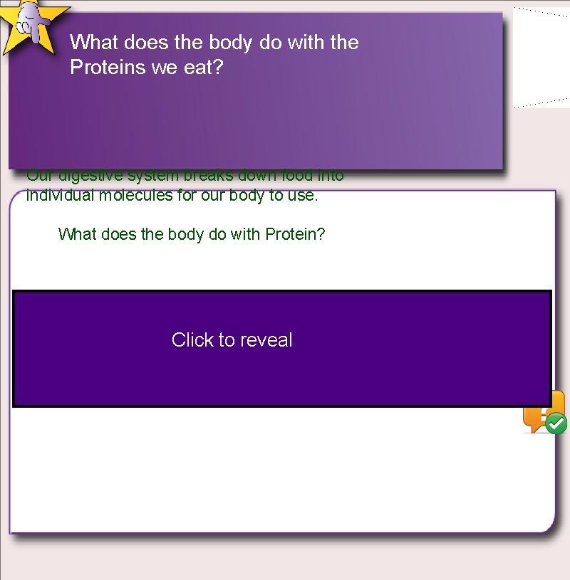 What does the body do with the Proteins we eat? Our digestive system breaks What does the body do with the Proteins we eat? Our digestive system breaks