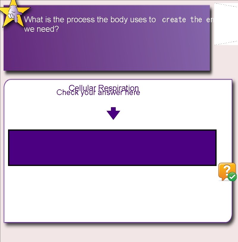 What is the process the body uses to create the energy we need? Cellular What is the process the body uses to create the energy we need? Cellular