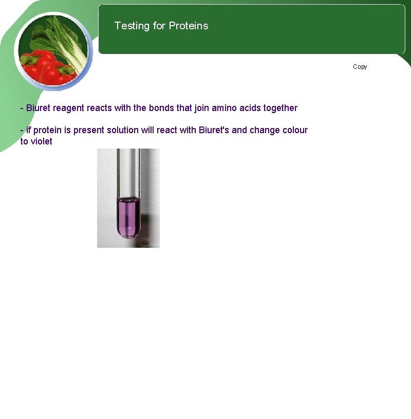 1 Testing for Proteins Copy - Biuret reagent reacts with the bonds that join 1 Testing for Proteins Copy - Biuret reagent reacts with the bonds that join