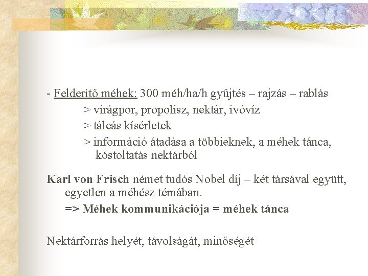 - Felderítő méhek: 300 méh/ha/h gyűjtés – rajzás – rablás > virágpor, propolisz, nektár,