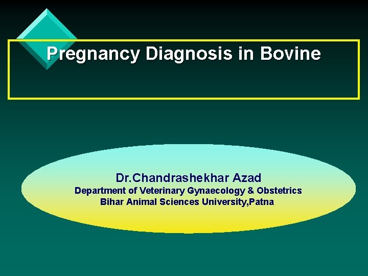 Pregnancy Diagnosis in Bovine Dr. Chandrashekhar Azad Department of Veterinary Gynaecology & Obstetrics Bihar