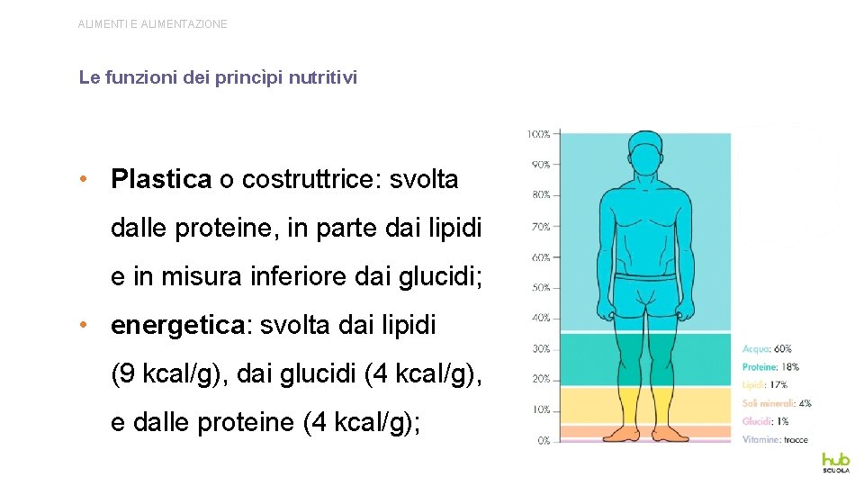 ALIMENTI E ALIMENTAZIONE Le funzioni dei princìpi nutritivi • Plastica o costruttrice: svolta dalle