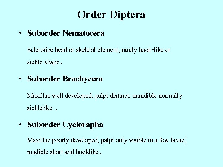 Order Diptera • Suborder Nematocera Sclerotize head or skeletal element, raraly hook-like or sickle-shape.