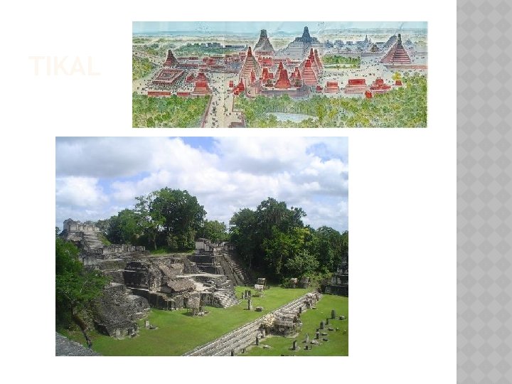 TIKAL 