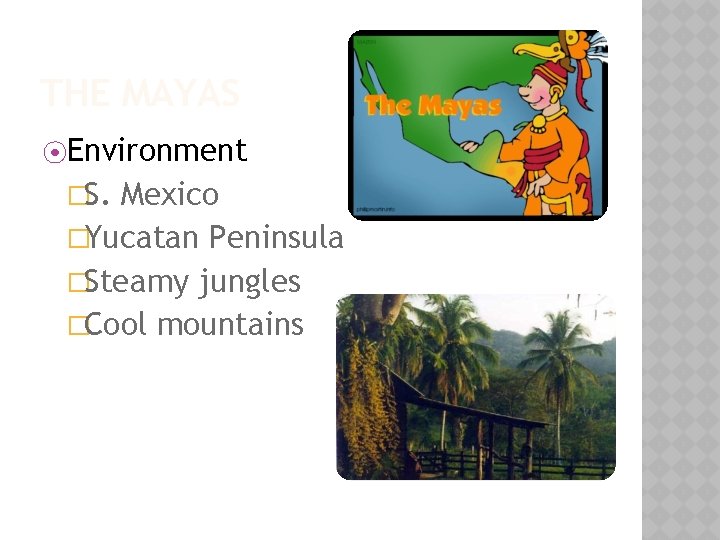 THE MAYAS ⦿Environment �S. Mexico �Yucatan Peninsula �Steamy jungles �Cool mountains 