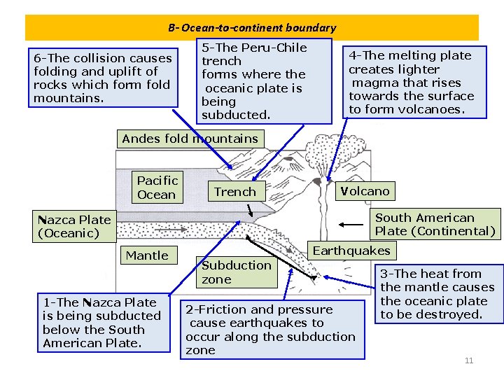 B- Ocean-to-continent boundary 6 -The collision causes folding and uplift of rocks which form