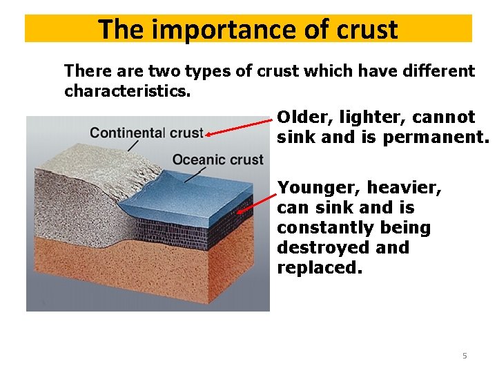 The importance of crust There are two types of crust which have different characteristics.