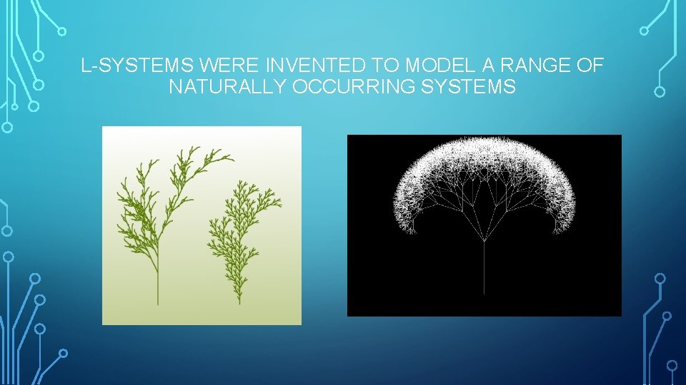 L-SYSTEMS WERE INVENTED TO MODEL A RANGE OF NATURALLY OCCURRING SYSTEMS 