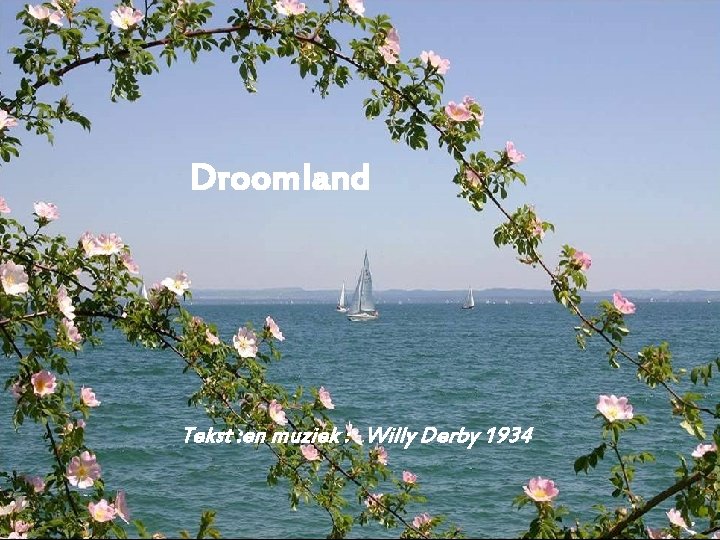 Droomland Tekst : en muziek : Willy Derby 1934 