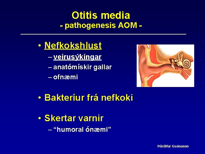 Otitis media - pathogenesis AOM - • Nefkokshlust – veirusýkingar – anatómískir gallar –