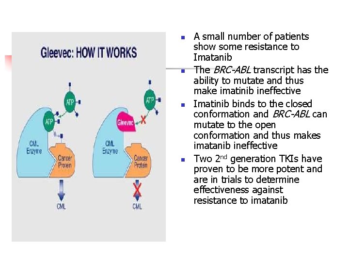 n n A small number of patients show some resistance to Imatanib The BRC-ABL