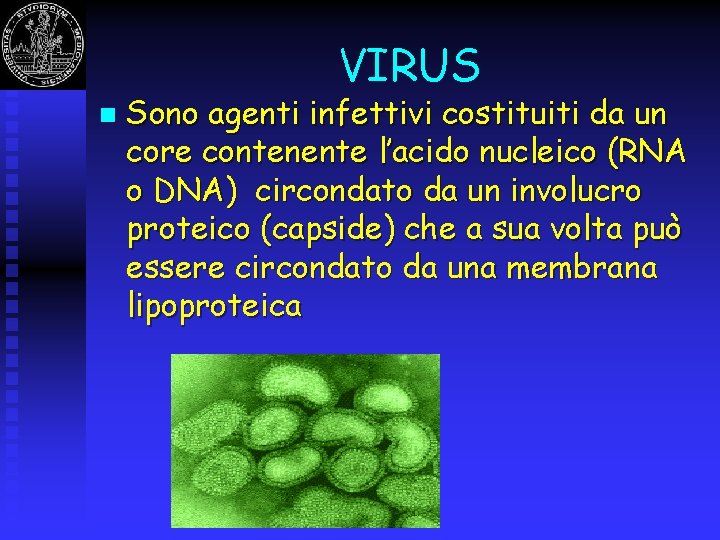 VIRUS n Sono agenti infettivi costituiti da un core contenente l’acido nucleico (RNA o