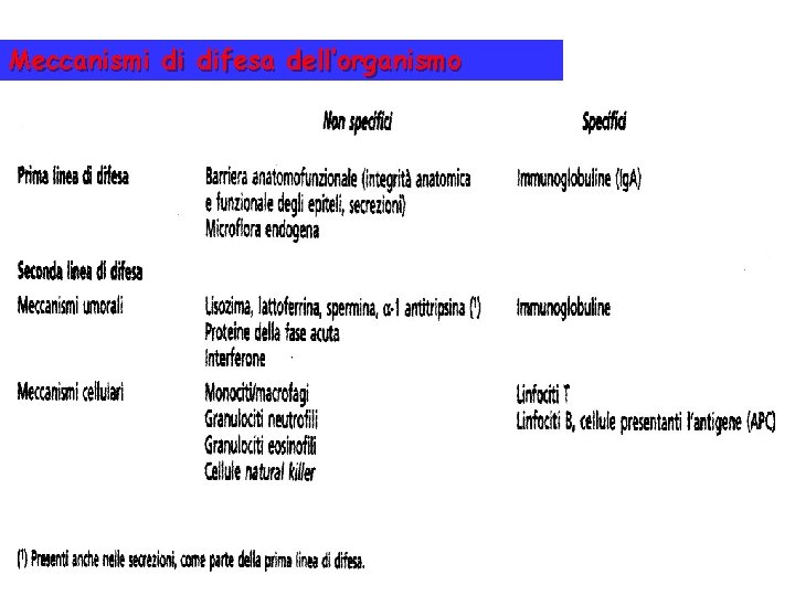 Meccanismi di difesa dell’organismo 
