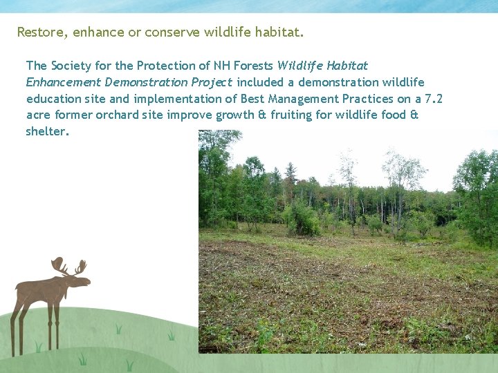 Restore, enhance or conserve wildlife habitat. The Society for the Protection of NH Forests
