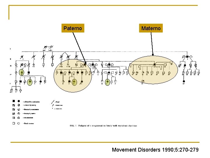 Paterno Movement Disorders 1990; 5: 270 -279 