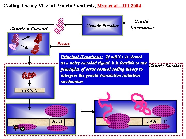 Coding Theory View of Protein Synthesis, May et al. , JFI 2004 Genetic Encoder