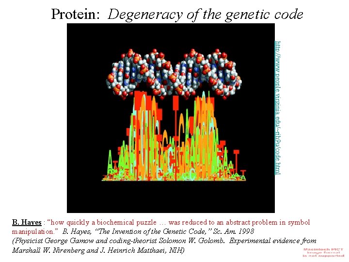 Protein: Degeneracy of the genetic code http: //www. people. virginia. edu/~rjh 9 u/code. html