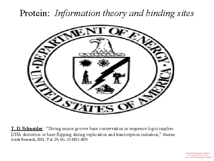 Protein: Information theory and binding sites T. D. Schneider : “Strong minor groove base