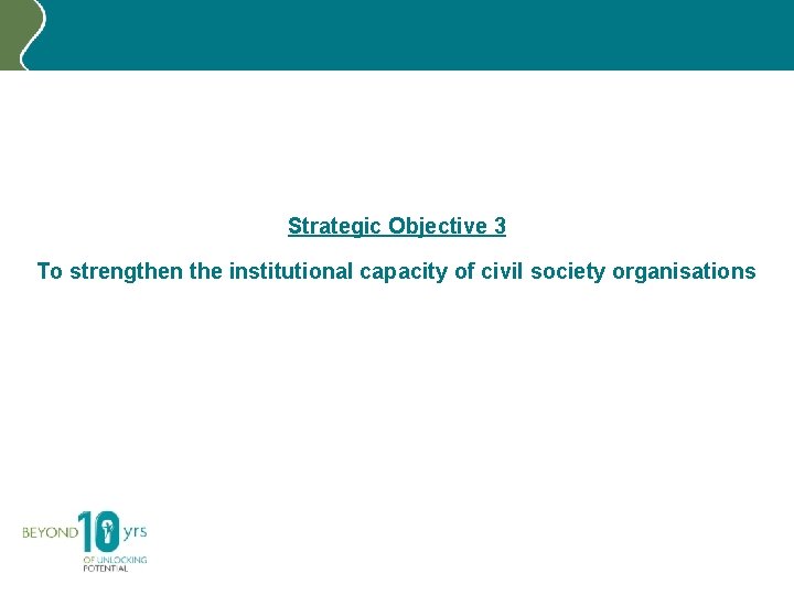 Strategic Objective 3 To strengthen the institutional capacity of civil society organisations 