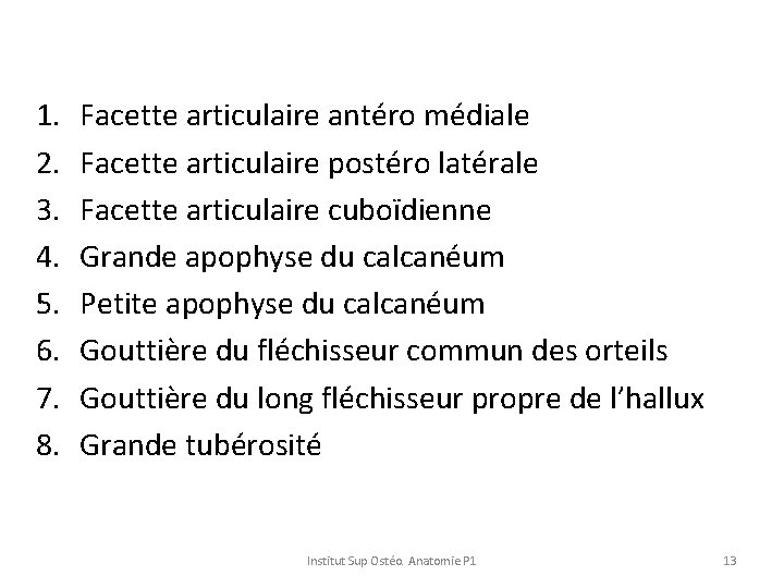 1. 2. 3. 4. 5. 6. 7. 8. Facette articulaire antéro médiale Facette articulaire 1. 2. 3. 4. 5. 6. 7. 8. Facette articulaire antéro médiale Facette articulaire