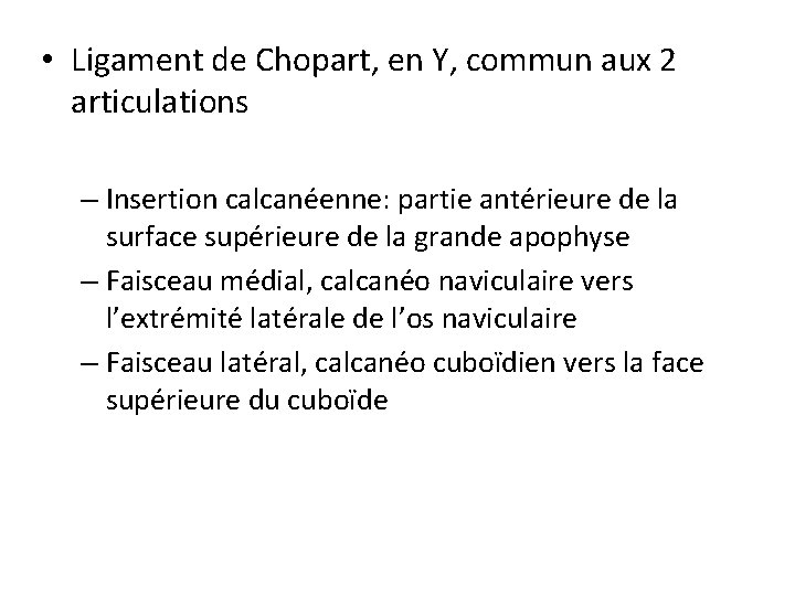 • Ligament de Chopart, en Y, commun aux 2 articulations – Insertion calcanéenne: • Ligament de Chopart, en Y, commun aux 2 articulations – Insertion calcanéenne: