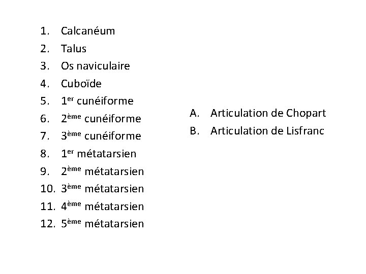 1. 2. 3. 4. 5. 6. 7. 8. 9. 10. 11. 12. Calcanéum Talus 1. 2. 3. 4. 5. 6. 7. 8. 9. 10. 11. 12. Calcanéum Talus