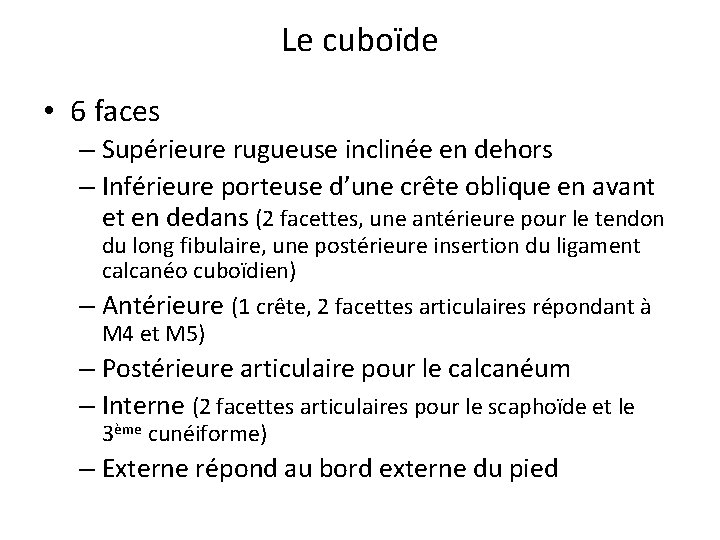 Le cuboïde • 6 faces – Supérieure rugueuse inclinée en dehors – Inférieure porteuse Le cuboïde • 6 faces – Supérieure rugueuse inclinée en dehors – Inférieure porteuse