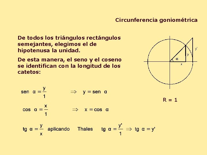 Circunferencia goniométrica De todos los triángulos rectángulos semejantes, elegimos el de hipotenusa la unidad.