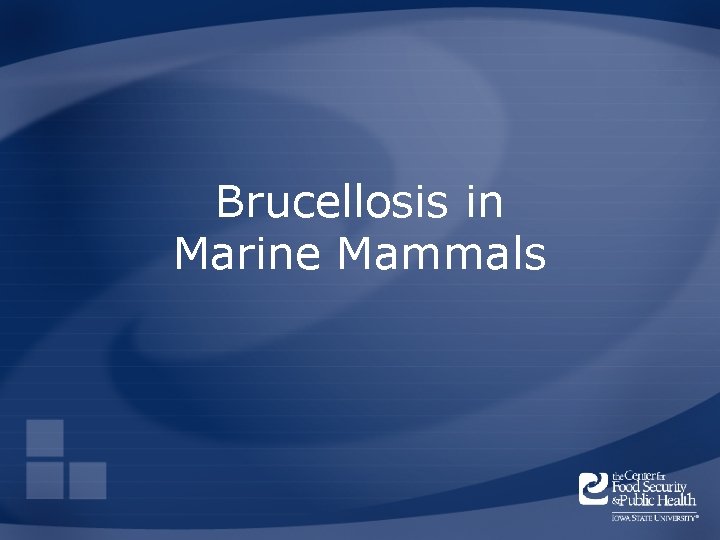 Brucellosis in Marine Mammals 