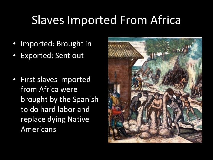 Slaves Imported From Africa • Imported: Brought in • Exported: Sent out • First