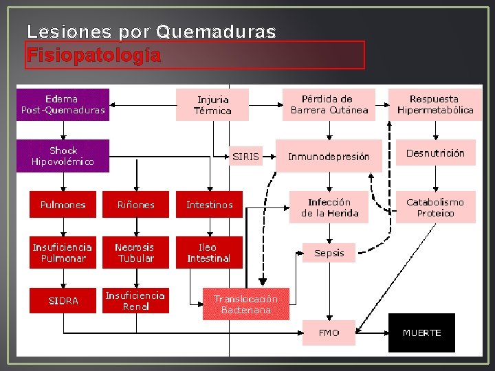 Lesiones por Quemaduras Fisiopatología Lesiones por Quemaduras Fisiopatología
