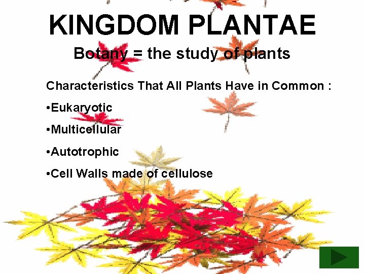 KINGDOM PLANTAE Botany = the study of plants Characteristics That All Plants Have in