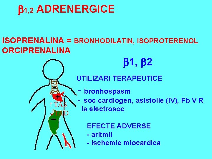  1, 2 ADRENERGICE ISOPRENALINA = BRONHODILATIN, ISOPROTERENOL ORCIPRENALINA 1, 2 UTILIZARI TERAPEUTICE -