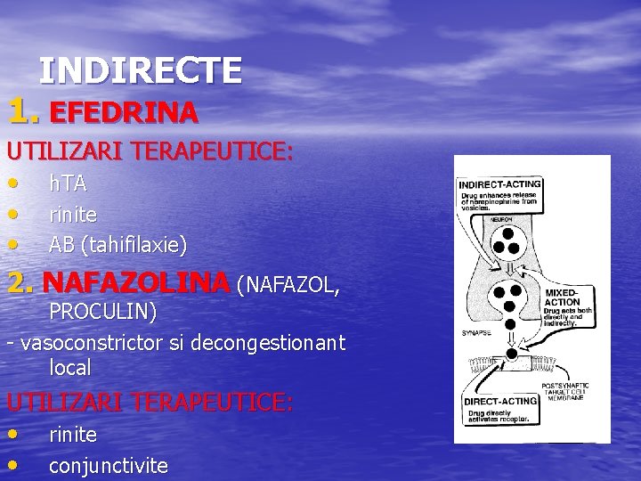 INDIRECTE 1. EFEDRINA UTILIZARI TERAPEUTICE: • h. TA • rinite • AB (tahifilaxie) 2.