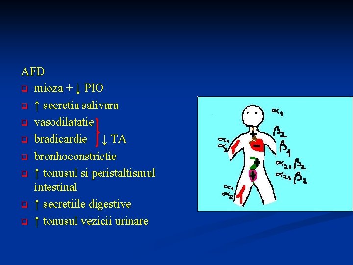 AFD q mioza + ↓ PIO q ↑ secretia salivara q vasodilatatie q bradicardie