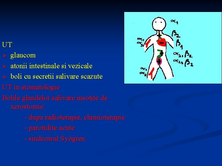 UT Ø glaucom Ø atonii intestinale si vezicale Ø boli cu secretii salivare scazute