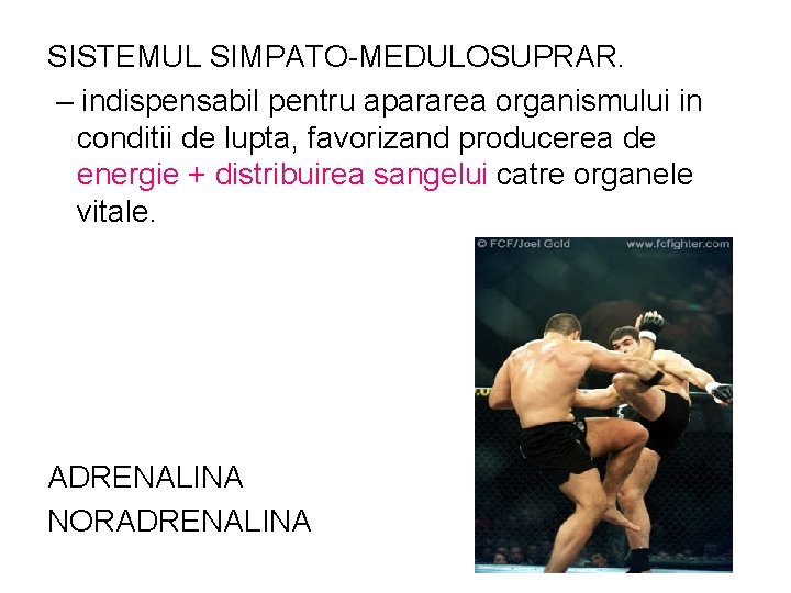 SISTEMUL SIMPATO-MEDULOSUPRAR. – indispensabil pentru apararea organismului in conditii de lupta, favorizand producerea de