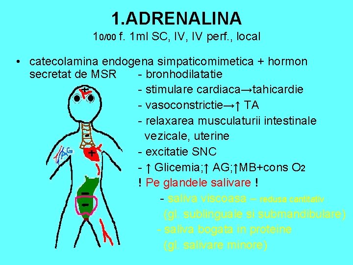 1. ADRENALINA 10/00 f. 1 ml SC, IV perf. , local • catecolamina endogena