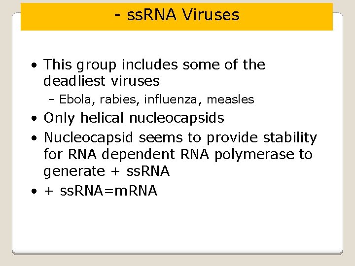 - ss. RNA Viruses • This group includes some of the deadliest viruses –