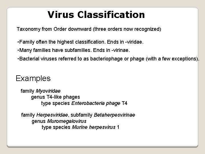 Virus Classification Taxonomy from Order downward (three orders now recognized) • Family often the