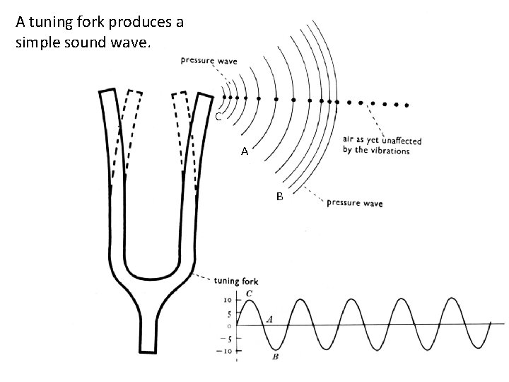 A tuning fork produces a simple sound wave. C A B 