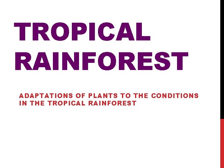 TROPICAL RAINFOREST ADAPTATIONS OF PLANTS TO THE CONDITIONS IN THE TROPICAL RAINFOREST 