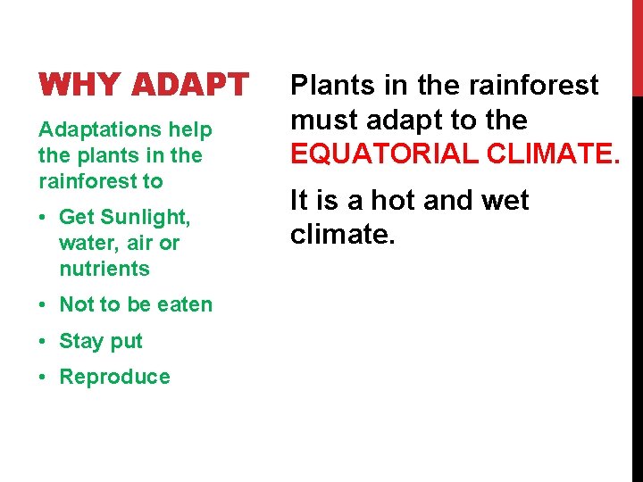 WHY ADAPT Adaptations help the plants in the rainforest to • Get Sunlight, water,