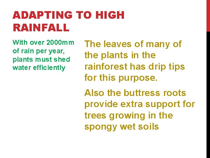 ADAPTING TO HIGH RAINFALL With over 2000 mm of rain per year, plants must