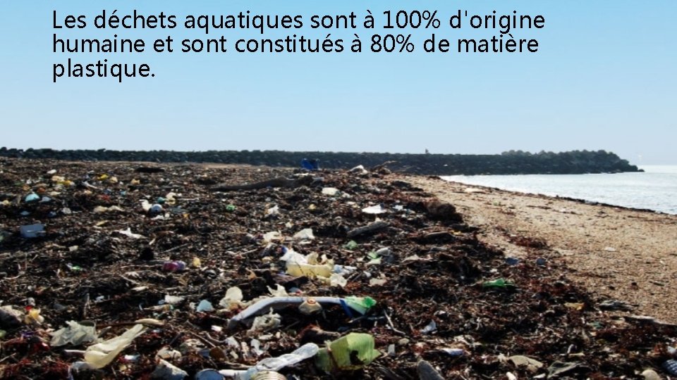 Les déchets aquatiques sont à 100% d'origine humaine et sont constitués à 80% de