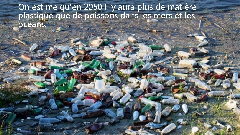 On estime qu'en 2050 il y aura plus de matière plastique de poissons dans
