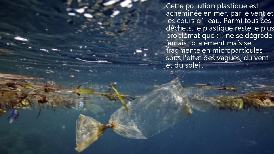 Cette pollution plastique est acheminée en mer, par le vent et les cours d’eau.