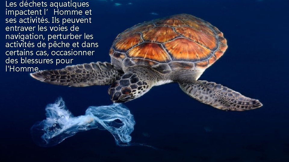 Les déchets aquatiques impactent l’Homme et ses activités. Ils peuvent entraver les voies de