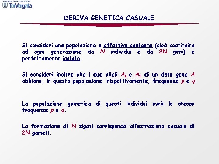 DERIVA GENETICA CASUALE Si consideri una popolazione a effettivo costante (cioè costituita ad ogni