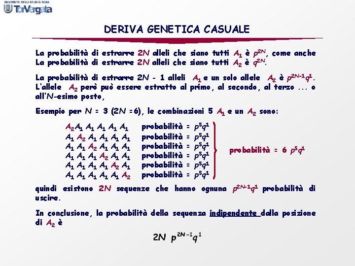 DERIVA GENETICA CASUALE La probabilità di estrarre 2 N alleli che siano tutti A